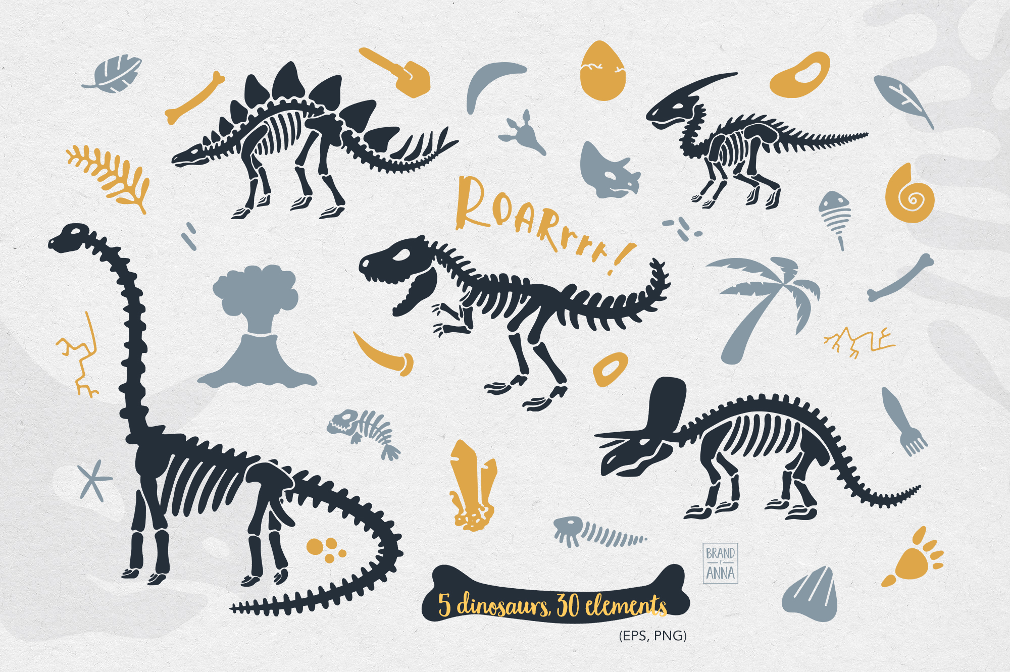 small dinosaur skeleton