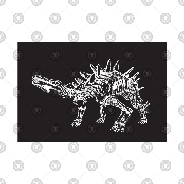 630x630 Sketch Of Stegosaurus Dinosaur Skeleton Vector