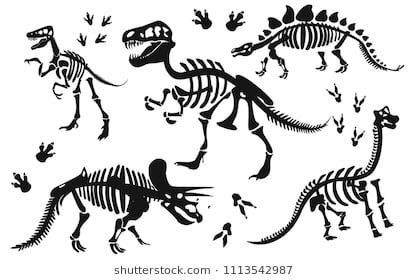 408x280 Stylish Silhouette Dinosaur Skeletons,dinosaur Bones Triceratops