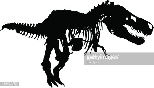500x286 Vector Dinosaur Skeleton Premium Clipart