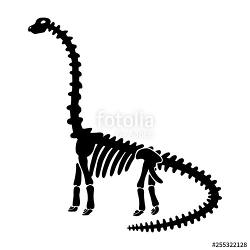 Vector Dinosaur Skeleton Diplodocus Stock Image And Royalty Free 500x500 Vector Dinosaur Skeleton Diplodocus Stock Image And Royalty Free