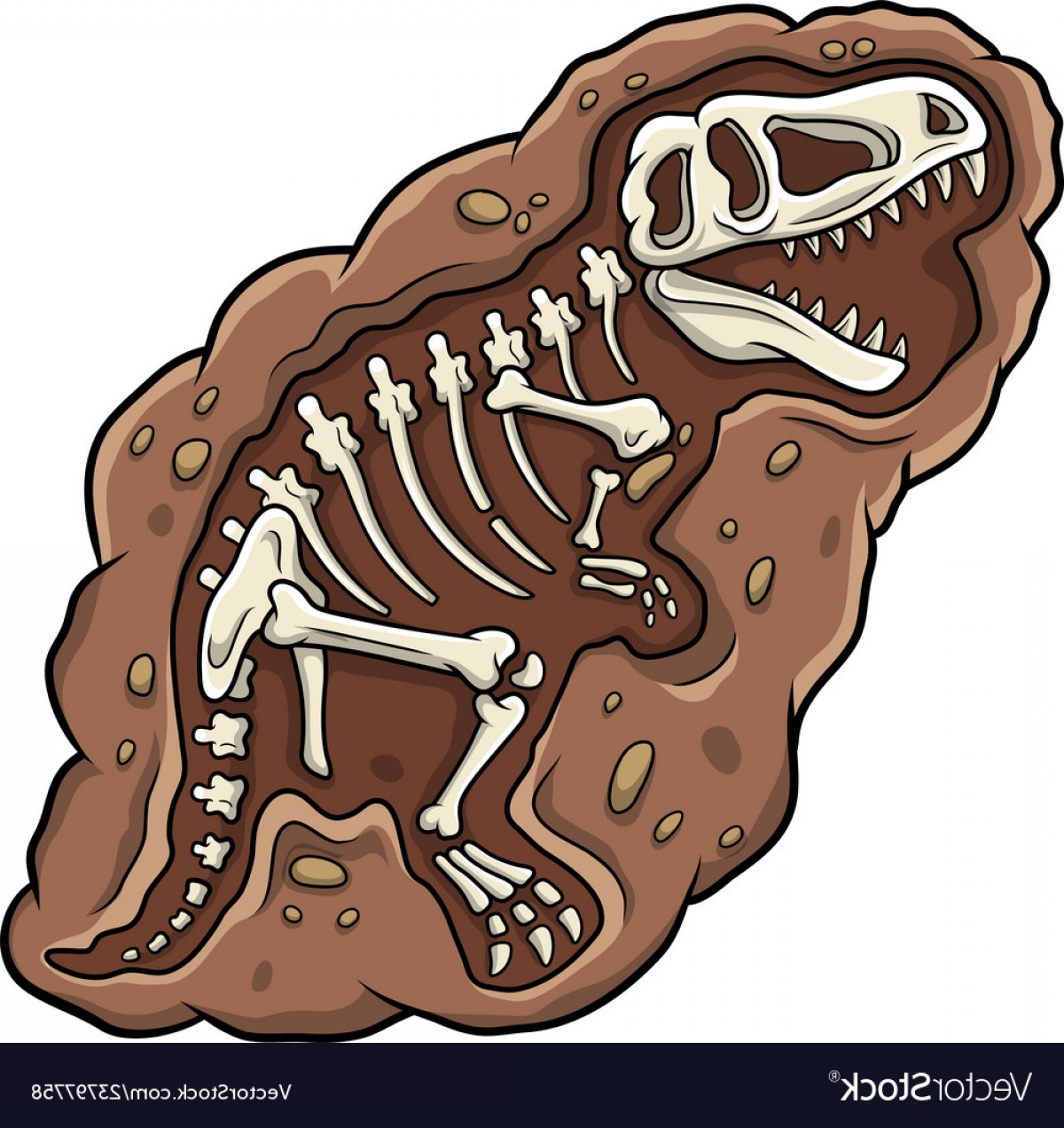 Dinosaur Skeleton Vector at Vectorified.com | Collection ...