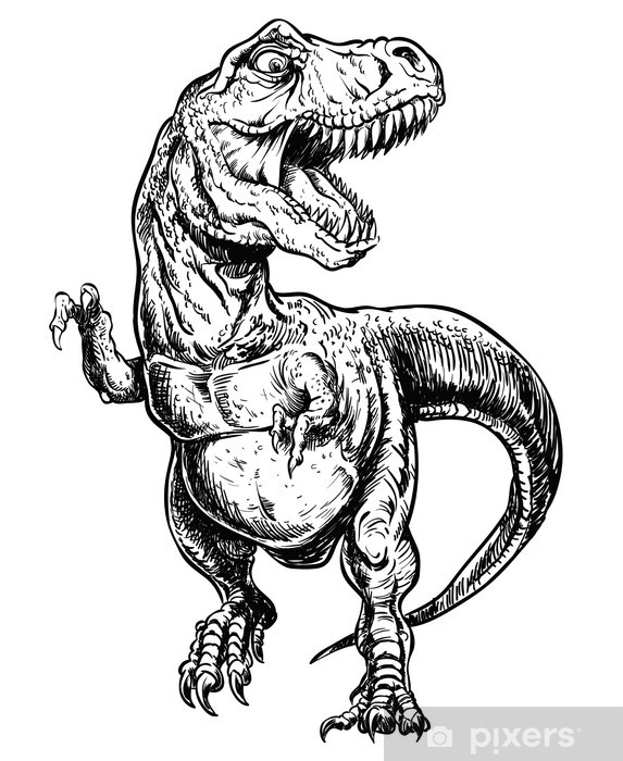 573x700 Tyrannosaurus Dinosaur Vector Linework Illustration Wall Mural