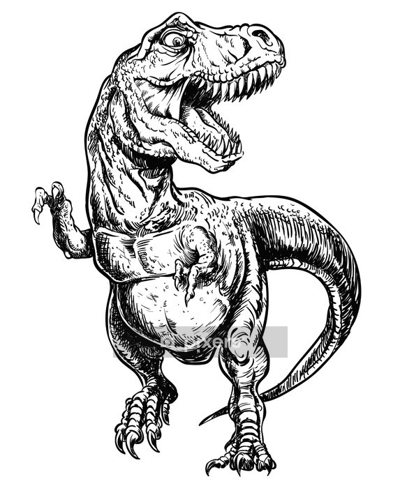 Tyrannosaurus Dinosaur Vector Linework Illustration Wall Decal 573x700 Tyrannosaurus Dinosaur Vector Linework Illustration Wall Decal