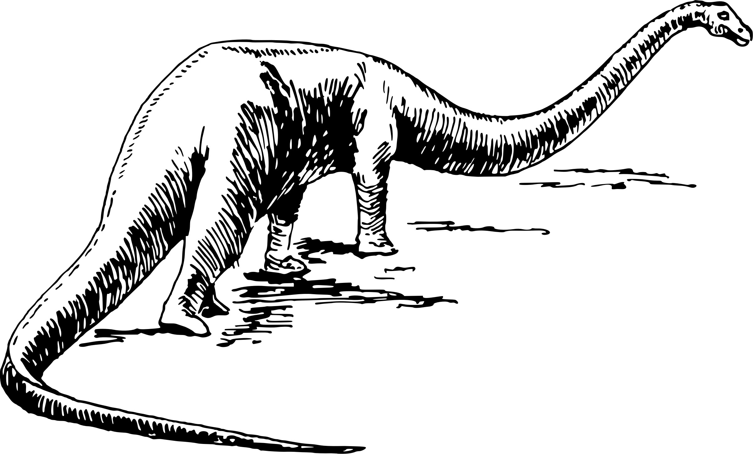 2400x1446 Large Sauropod Dinosaur Vector Clipart Image