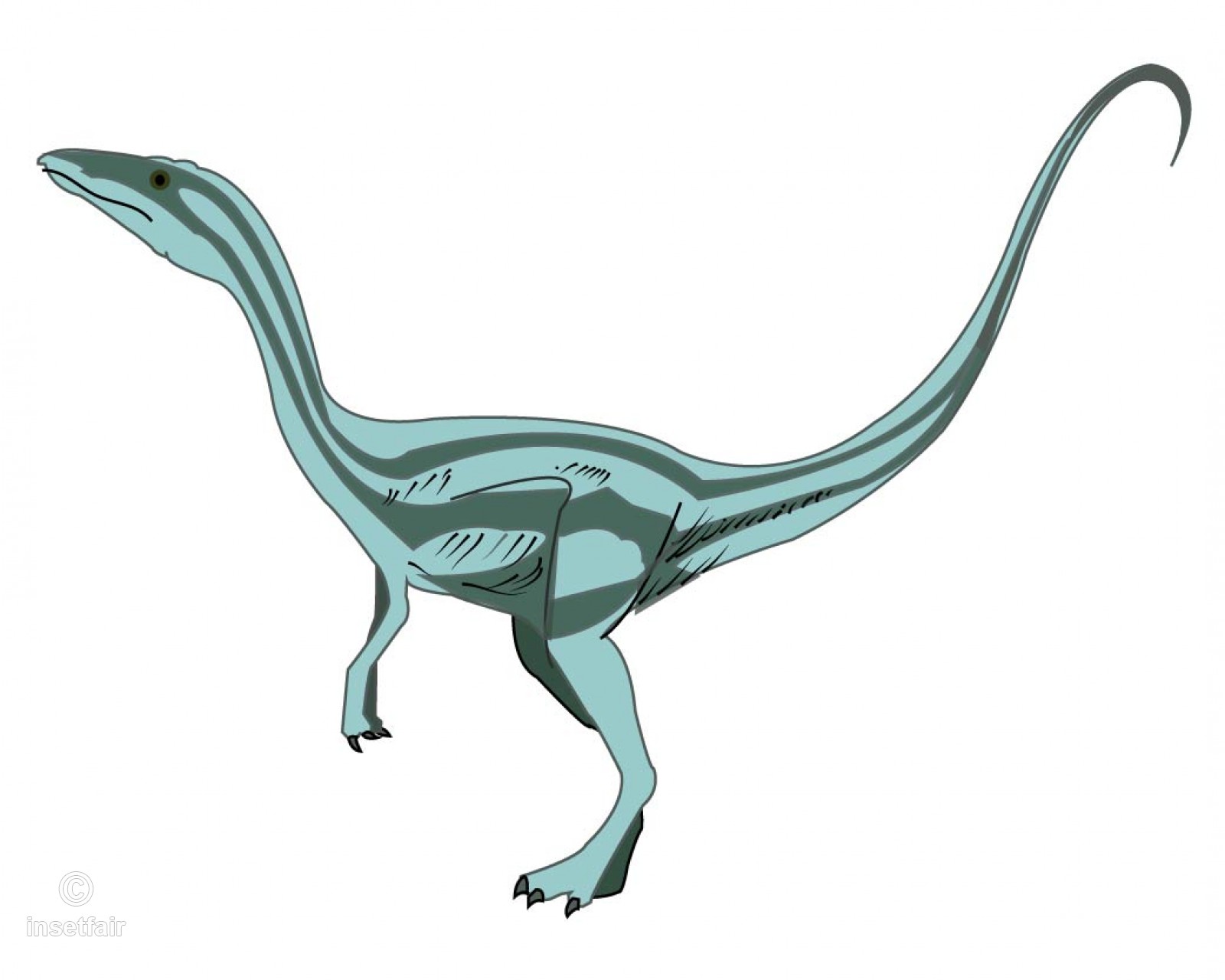 1600x1280 Velociraptors Dinosaurs Vector Free Image