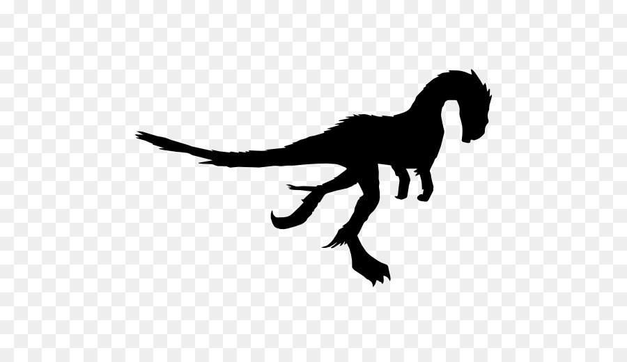 900x520 Dilong Caudipteryx Dinosaur Gigantoraptor