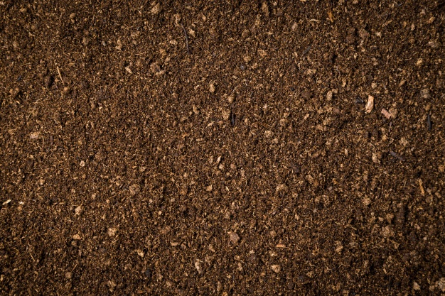 Dirt Texture 626x417 Dirt Texture