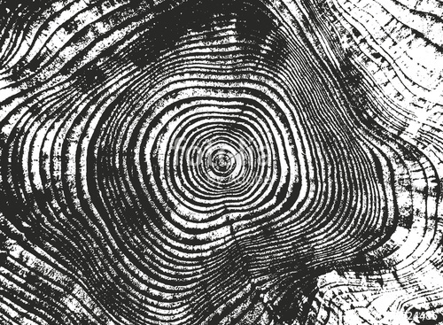 500x367 Distressed Overlay Texture Of Cracked Concrete Stock Image