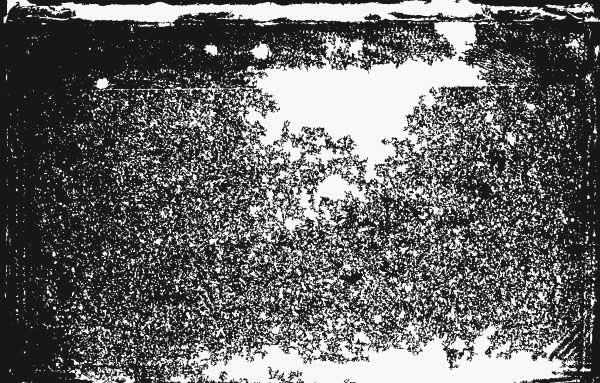 Distressed Texture Vector