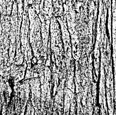 371x368 Vector Grunge Texture Free Vector Download