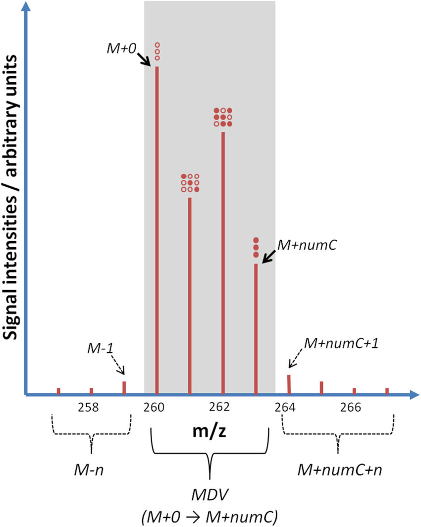 Illustration Of The Mass Isotopomer Distribution Vector 850x1064 Illustration Of The Mass Isotopomer Distribution Vector