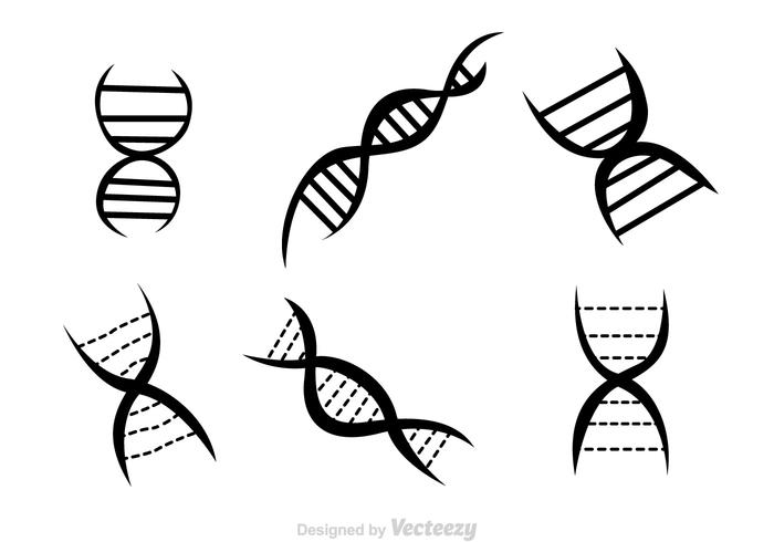 700x490 Dna Free Vector Art
