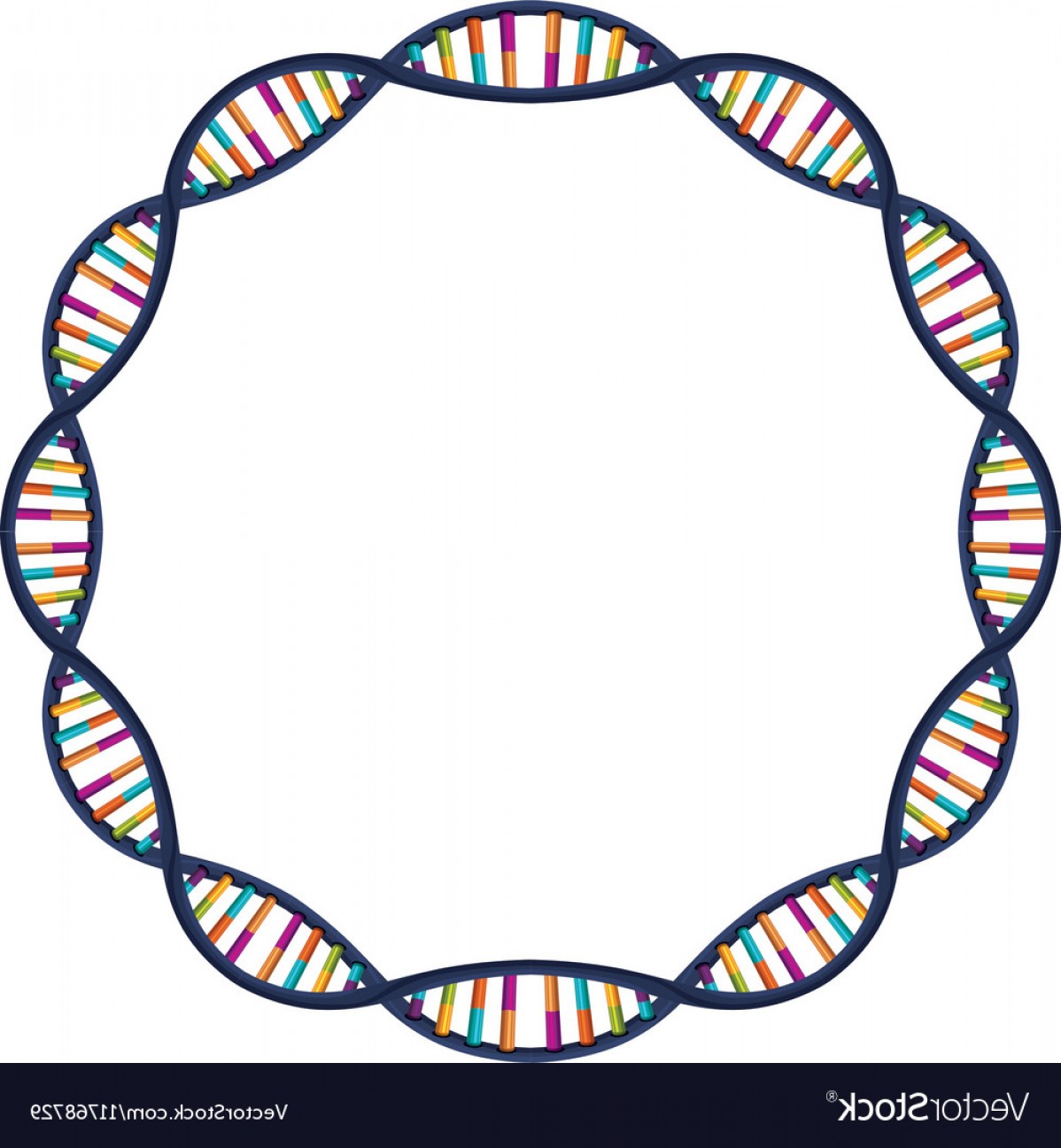 1198x1296 Dna Strand Vector Soidergi