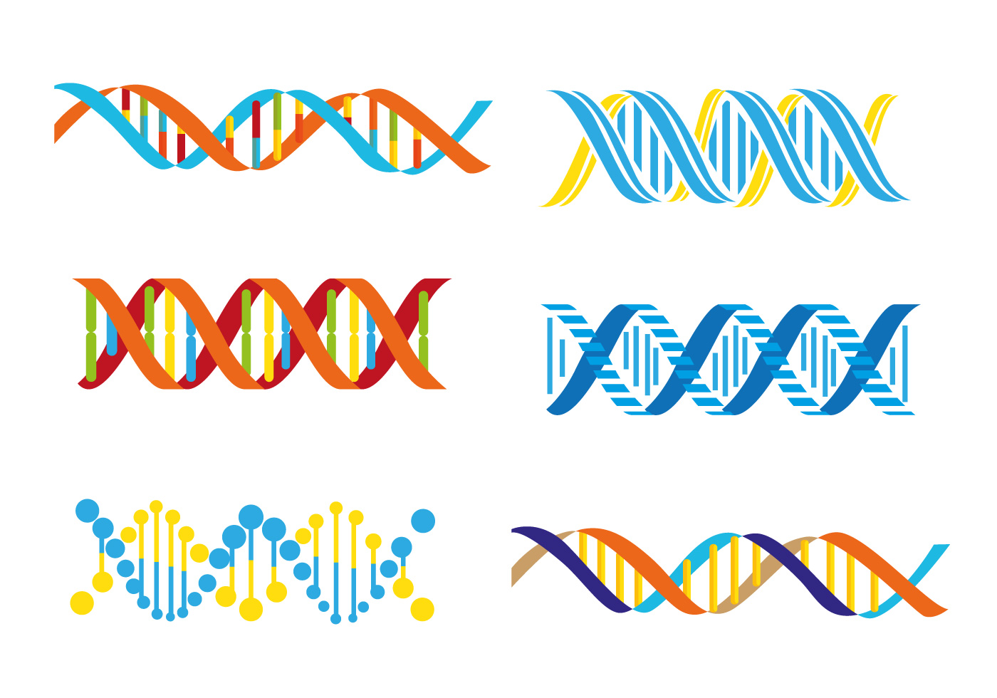 1400x980 Double Helix Free Vector Art