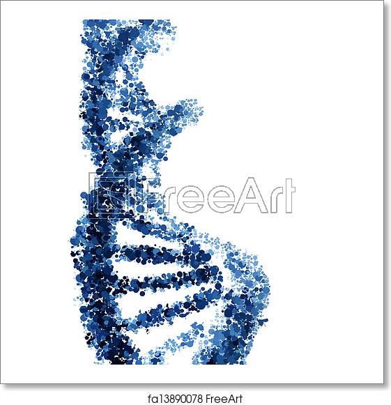 561x581 Free Art Print Of Dna Helix Vector Isolated On White Background