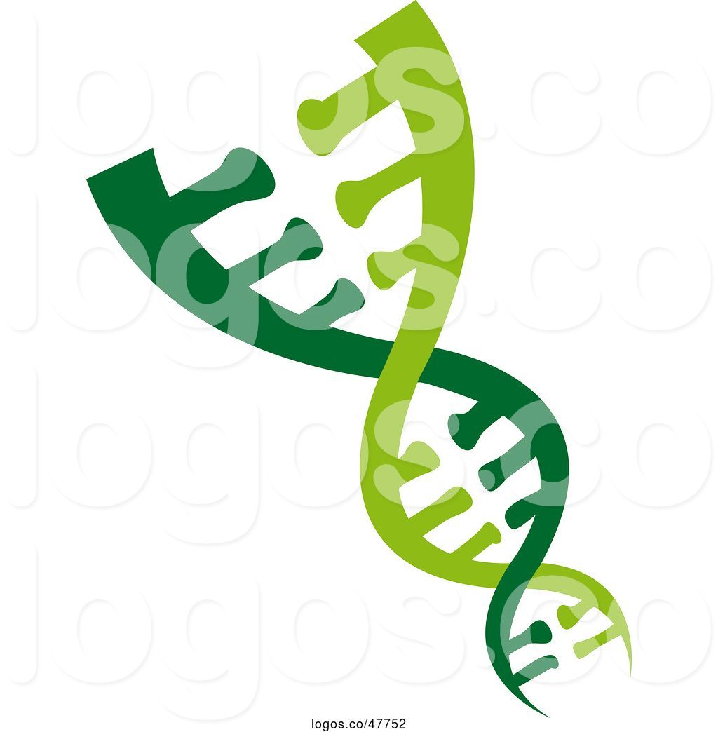 1024x1044 Logo Of Dna Double Helix Cloning Strand
