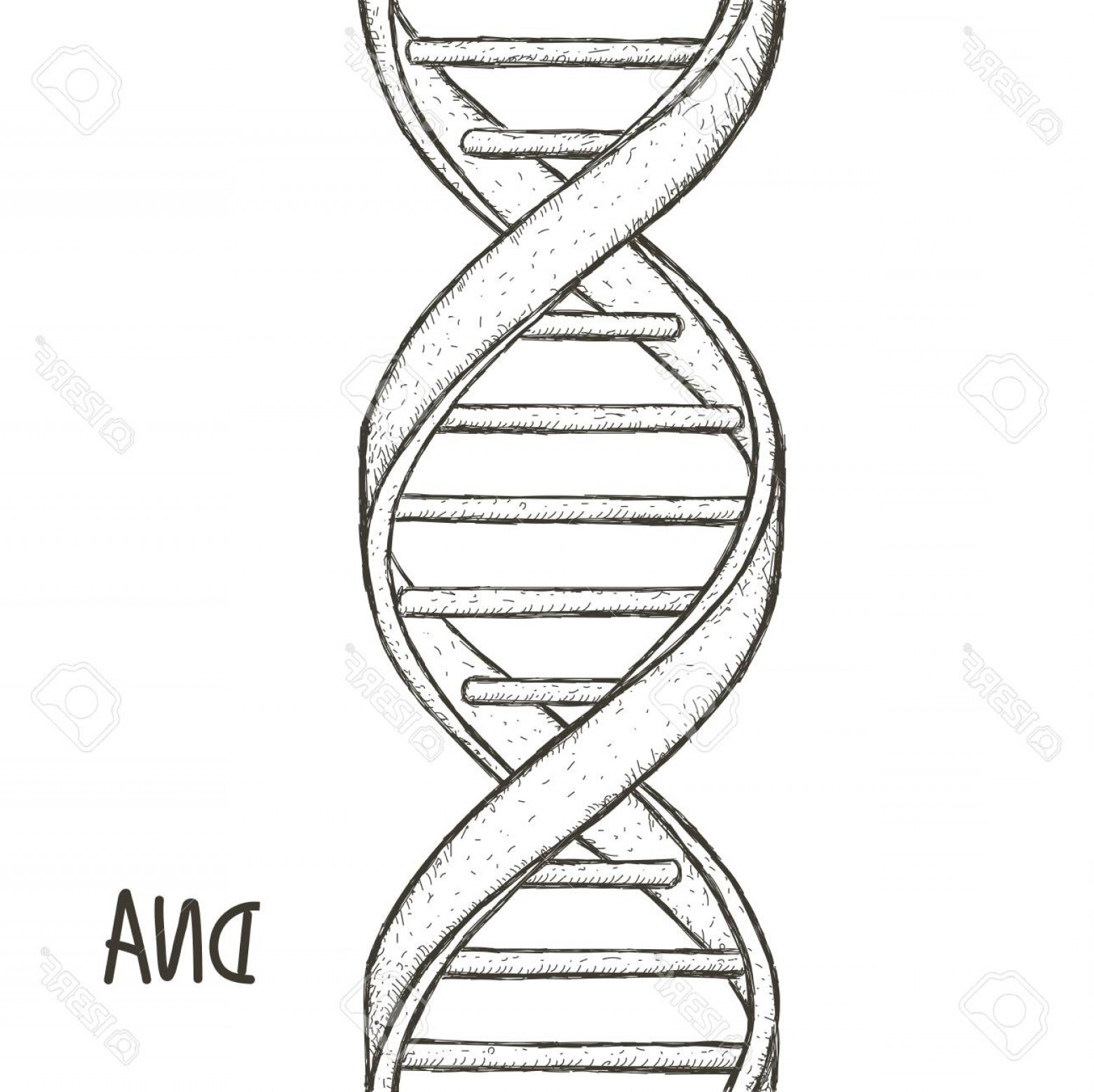 1560x1558 Photostock Vector Gold Dna Dna Symbol Dna Helix Symbol Gene Icon