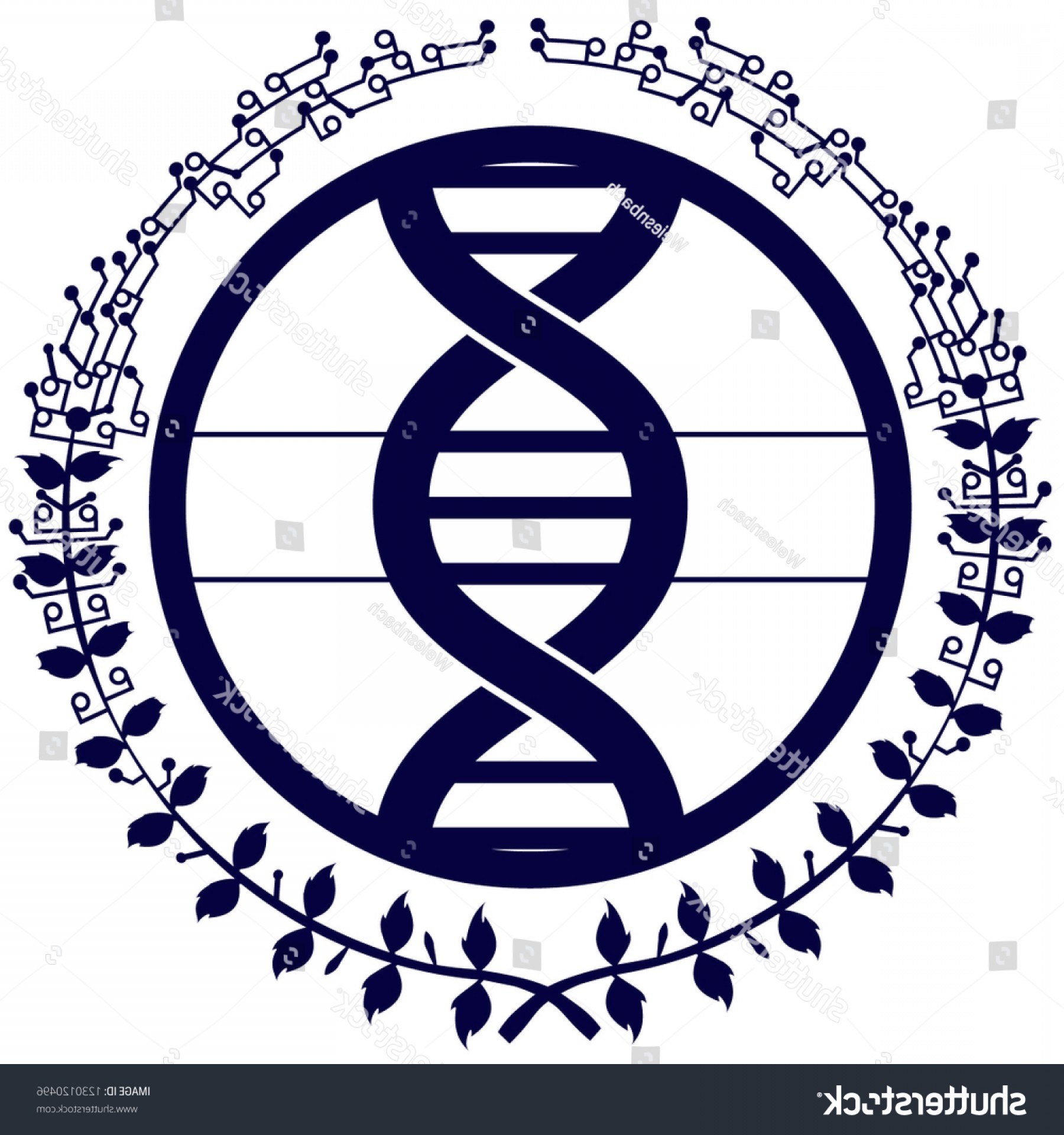 1800x1920 Vector Illustration Dna Double Helix Spiral Hoodamathrun