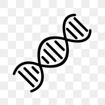 360x360 Dna Vector, Free Download Dna Structure Human, Dna Molecules, Dna