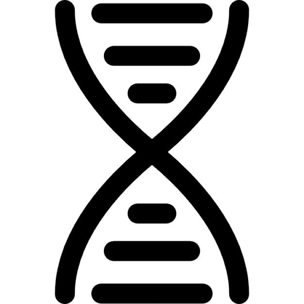 626x626 Dna Vector Icon
