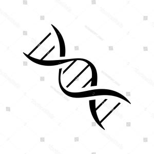 300x300 Png Genetics Dna Computer Icons Vector Genetic Icon Hoodamathrun