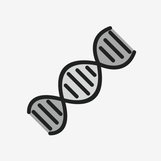 640x640 Vector Dna Icon, Dna, Genetics, Helix Png And Vector