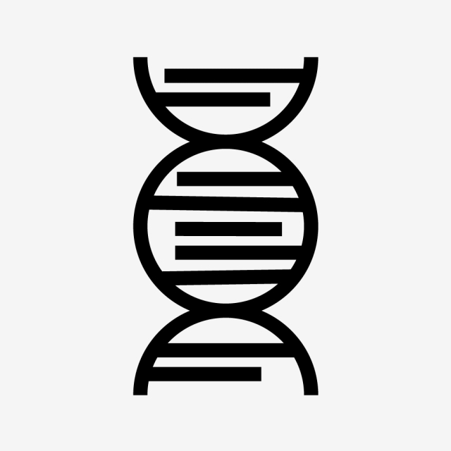 640x640 Vector Dna Icon, Dna Icon, Genetics, Blood Png And Vector