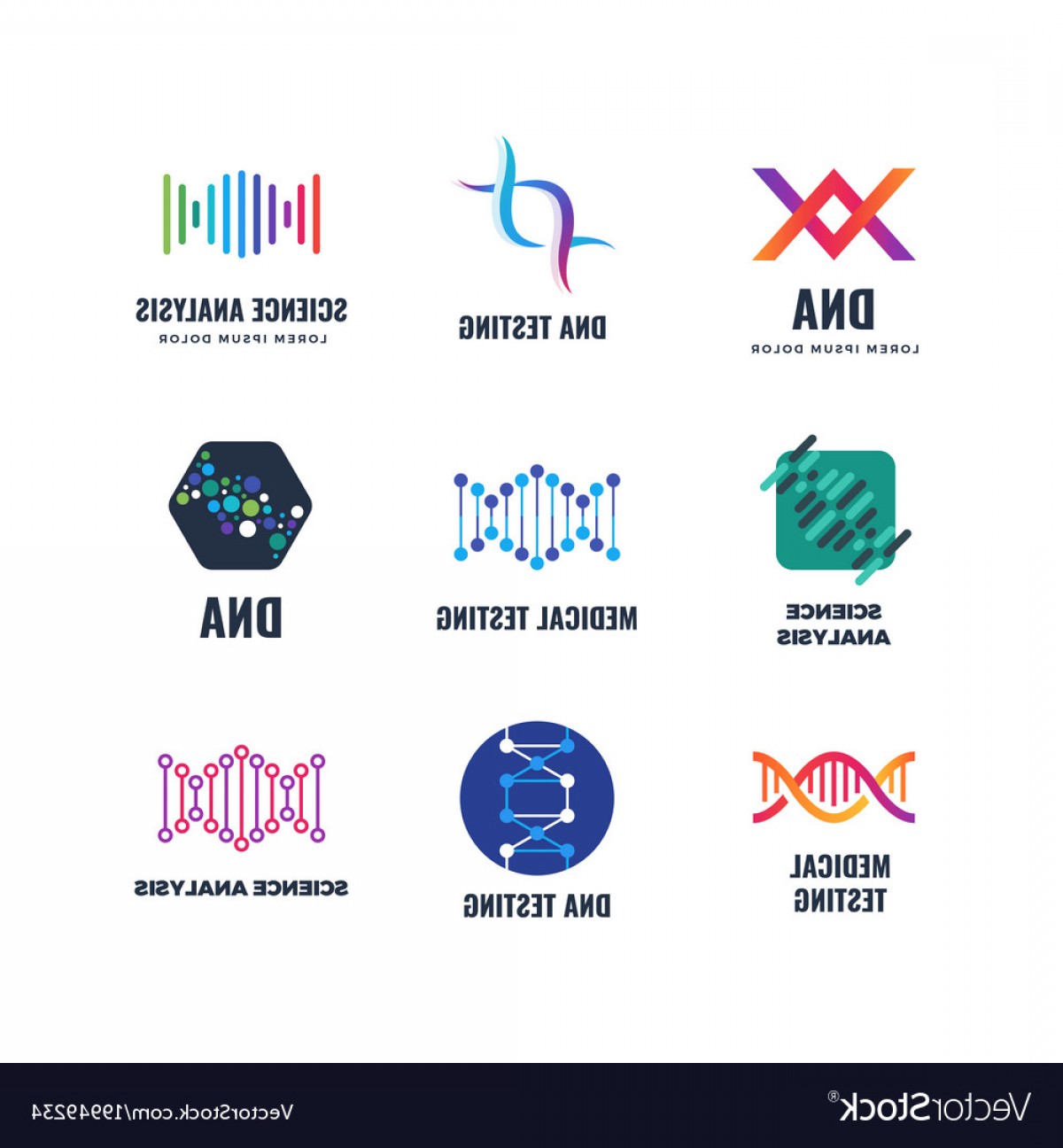 1200x1296 Dna Code Biotech Science Genetics Logo Vector Hoodamathrun