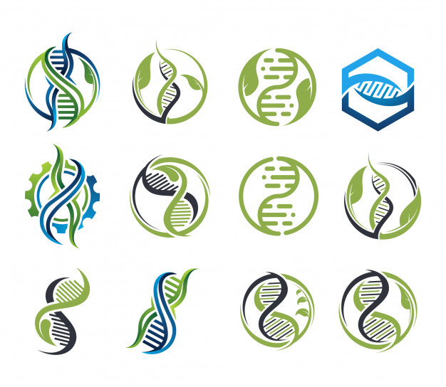 626x544 Dna Collection Logo Vector Vector Premium Download