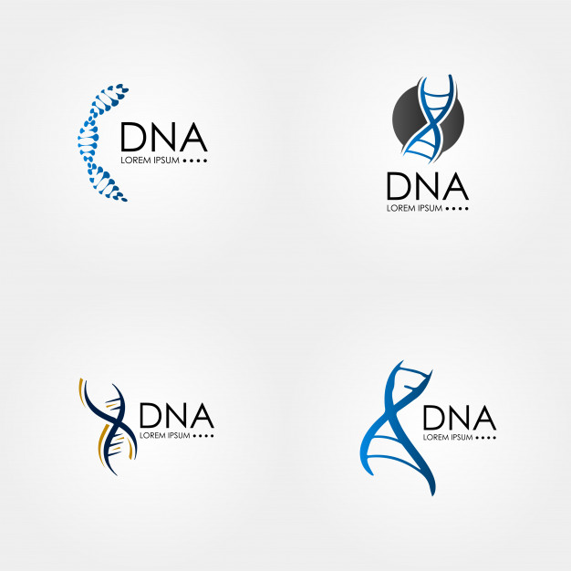 626x626 Dna Logo Vector Premium Download