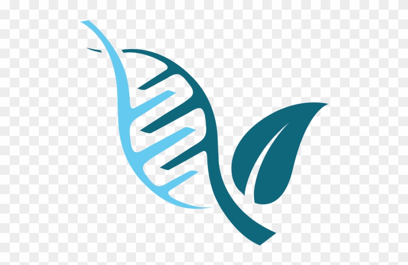 840x546 Dr Nurani, Naturopathic Doctor