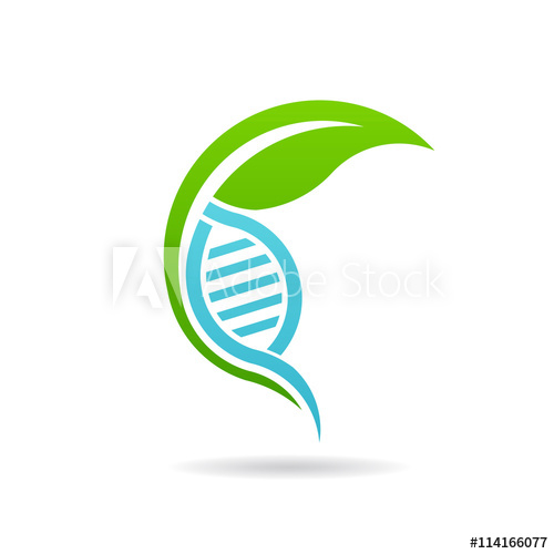 500x500 Nursery Plant Dna Logo Vector Graphic Design