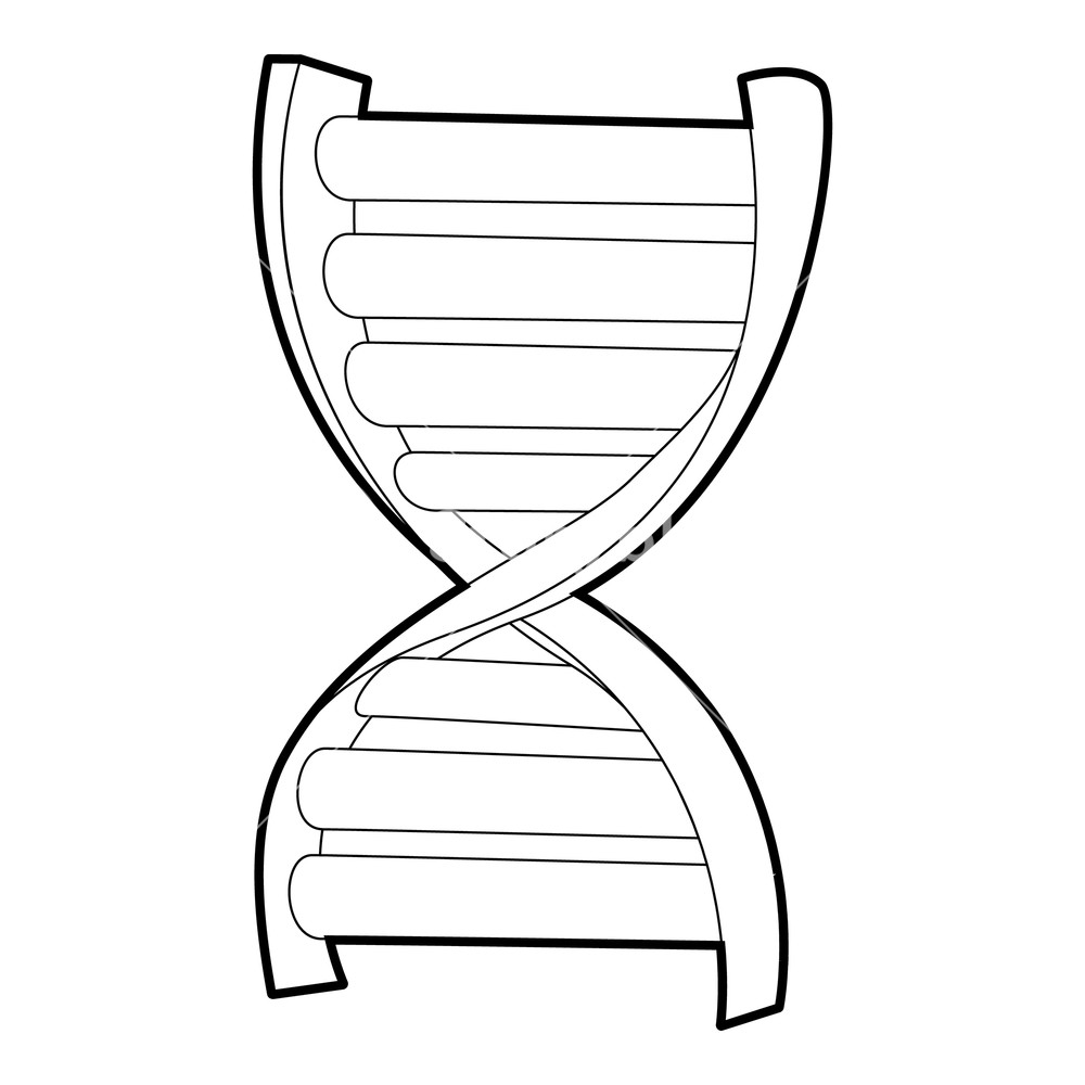 Dna Strand Icon Isometric Illustration Of Dna Strand Vector 1000x1000 Dna Strand Icon Isometric Illustration Of Dna Strand Vector