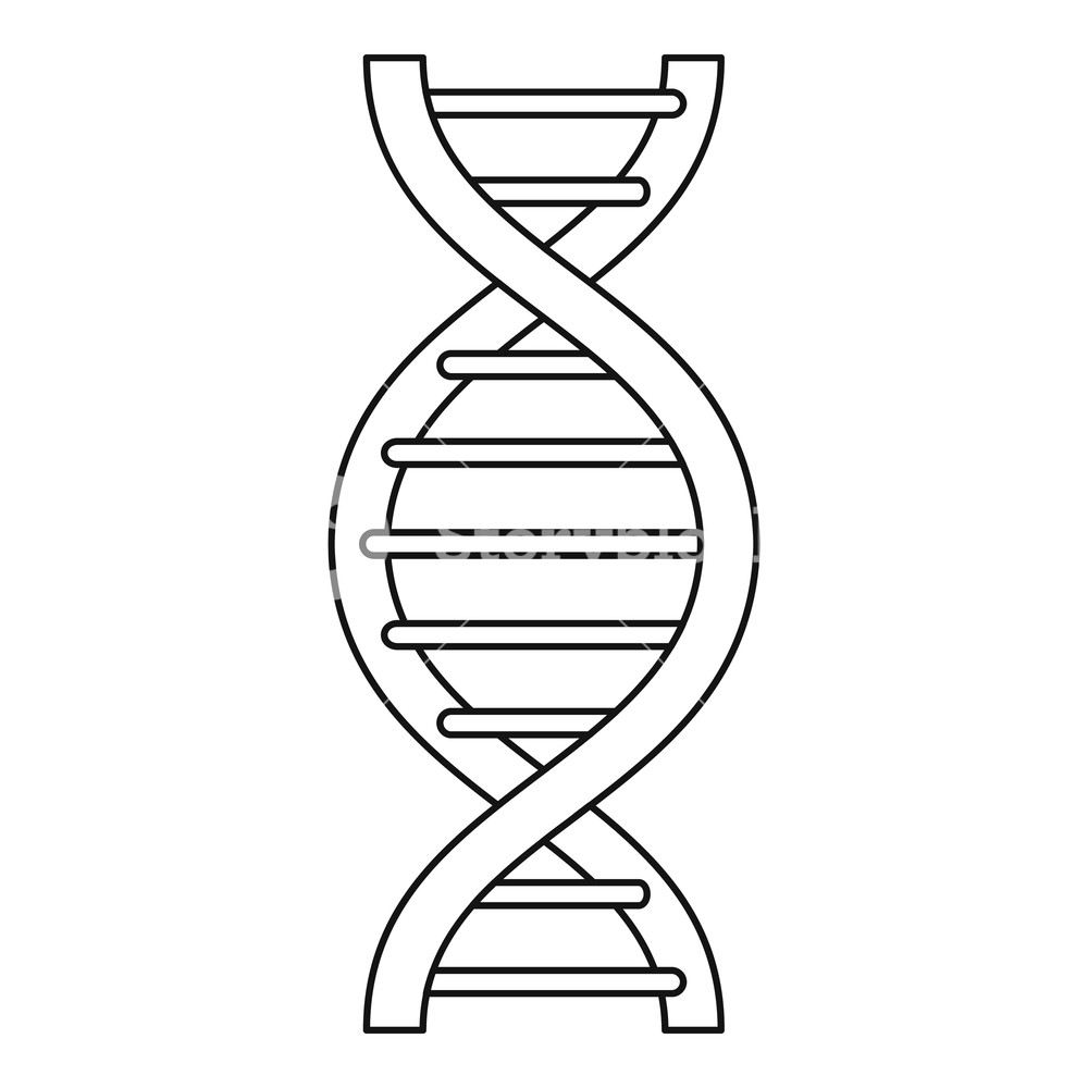 Dna Strand Vector at Vectorified.com | Collection of Dna Strand Vector ...