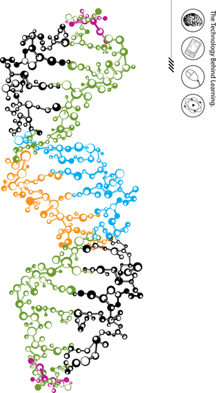 Dna Strand 313x570 Dna Strand