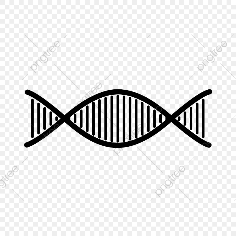 Dna Strand Illustration, Dna, Strand, Dna Logo Png And Vector 800x800 Dna Strand Illustration, Dna, Strand, Dna Logo Png And Vector