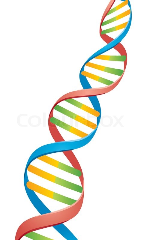 Vector Illustration Of A Double Helix Stock Vector Colourbox 480x800 Vector Illustration Of A Double Helix Stock Vector Colourbox