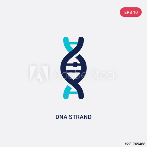 Two Color Dna Strand Vector Icon From Education Concept Isolated 500x500 Two Color Dna Strand Vector Icon From Education Concept Isolated