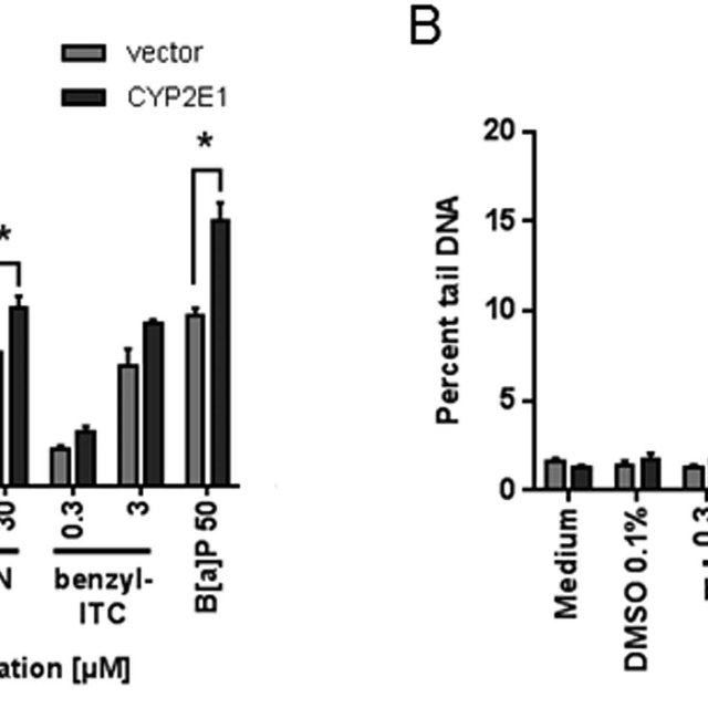 Analysis Of Dna Strand Breaks Of Transfected 640x640 Analysis Of Dna Strand Breaks Of Transfected
