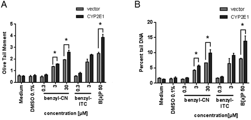 Analysis Of Dna Strand Breaks Of Transfected 850x405 Analysis Of Dna Strand Breaks Of Transfected