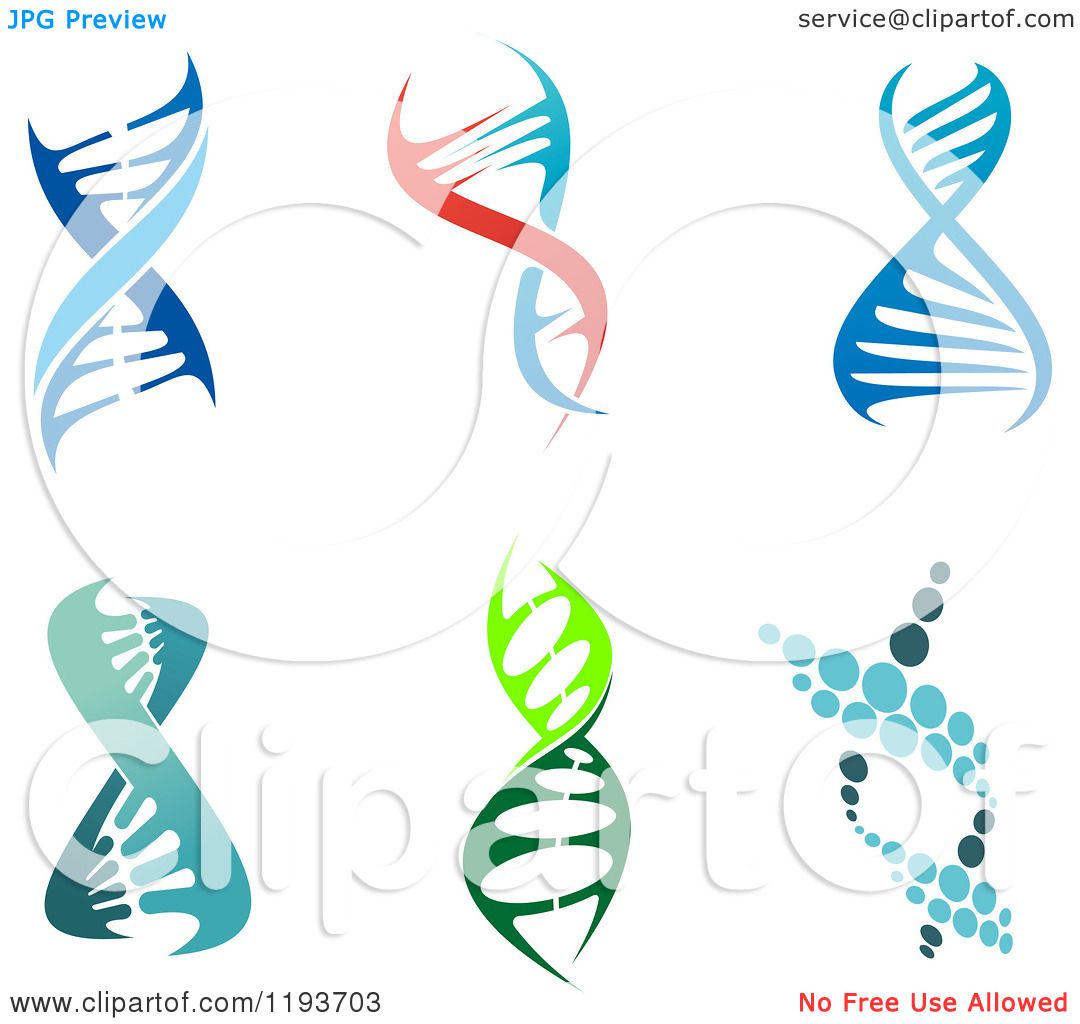 Clipart Of Dna Double Helix Cloning Strands 1080x1024 Clipart Of Dna Double Helix Cloning Strands