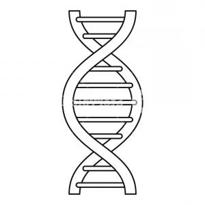 Colorful Dna Double Helix Strand Newwaysys 300x300 Colorful Dna Double Helix Strand Newwaysys