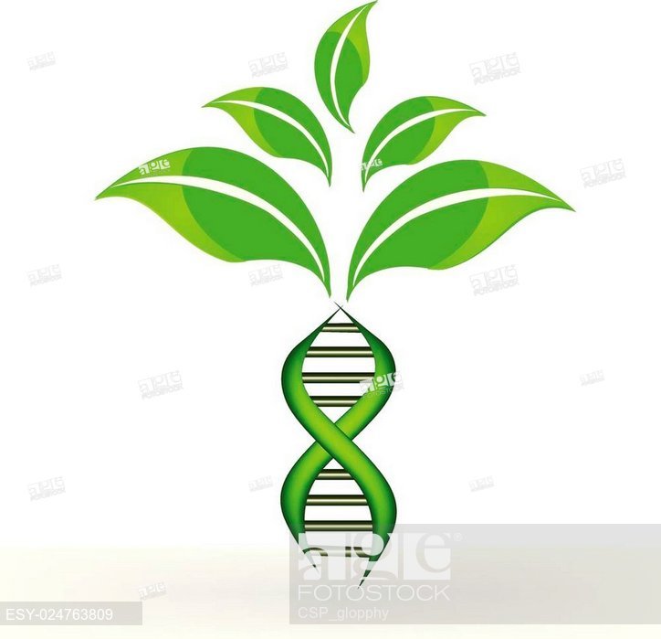 724x699 Dna Symbol Plant Logo, Stock Vector, Vector And Low Budget Royalty