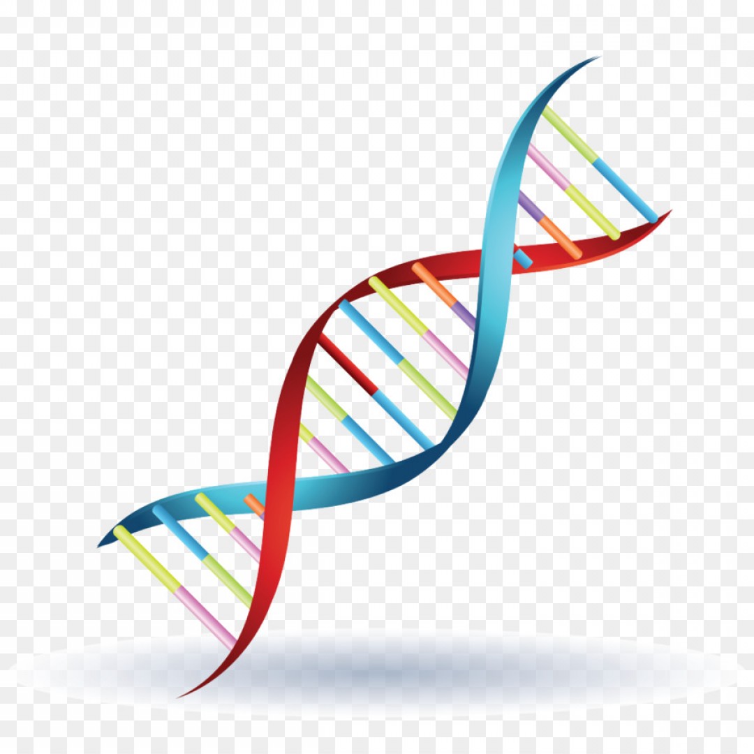 Dna Symbol Vector At Collection Of Dna Symbol Vector