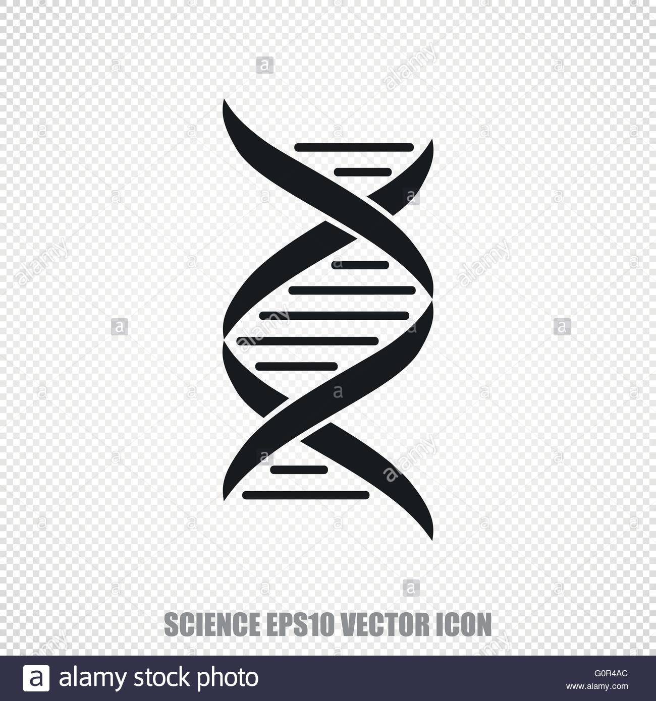 1300x1390 Dna Vector Icon