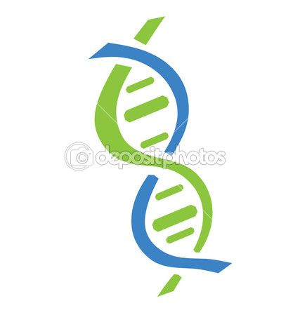 427x449 Dna Symbol Stock Vector