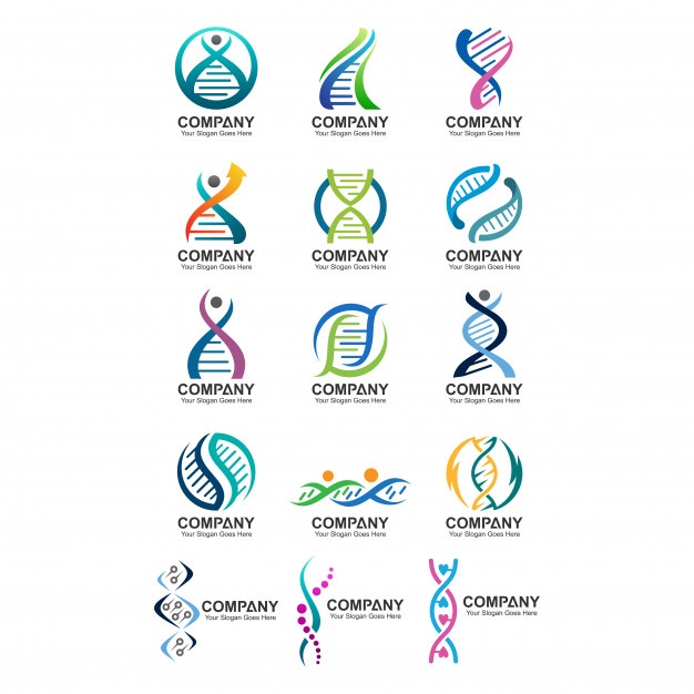626x626 Abstract Dna Logo Set Vector Premium Download