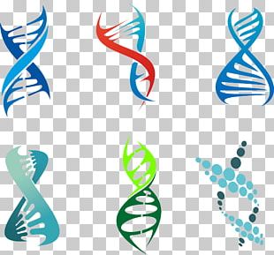 Dna Vector Png Images, Dna Vector Clipart Free Download 310x289 Dna Vector Png Images, Dna Vector Clipart Free Download