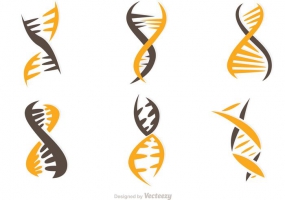 Dna Helix Free Vector Graphic Art Free Download 285x200 Dna Helix Free Vector Graphic Art Free Download